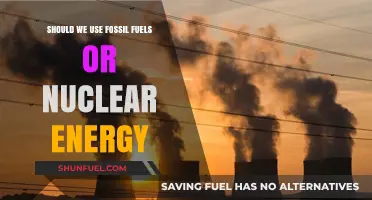 Fossil Fuels vs. Nuclear Energy: Which Powers a Sustainable Future?