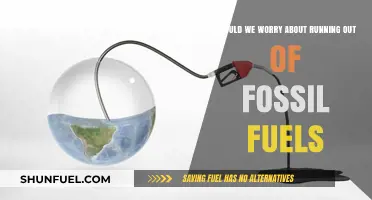 Fossil Fuels Depletion: A Looming Crisis or Opportunity for Change?