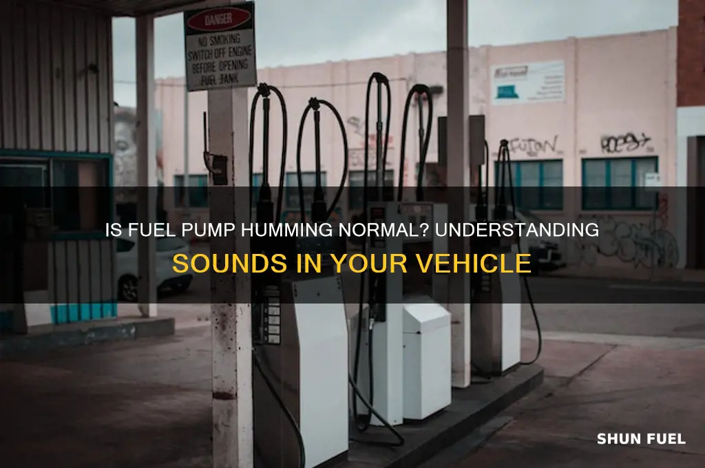 should you be able to here fuel pump humming