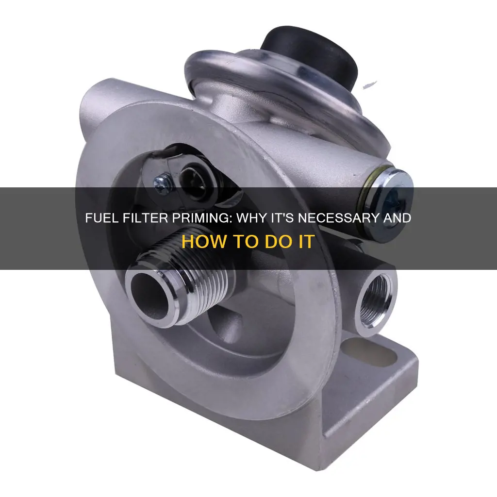 should you prime new fuel filter