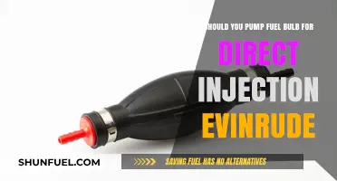 Pumping Fuel Bulb for Direct Injection Evinrude: Necessary or Not?