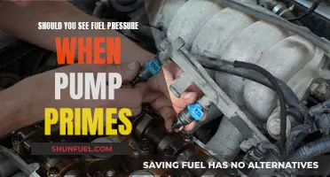 Understanding Fuel Pressure and Pump Priming: What to Expect