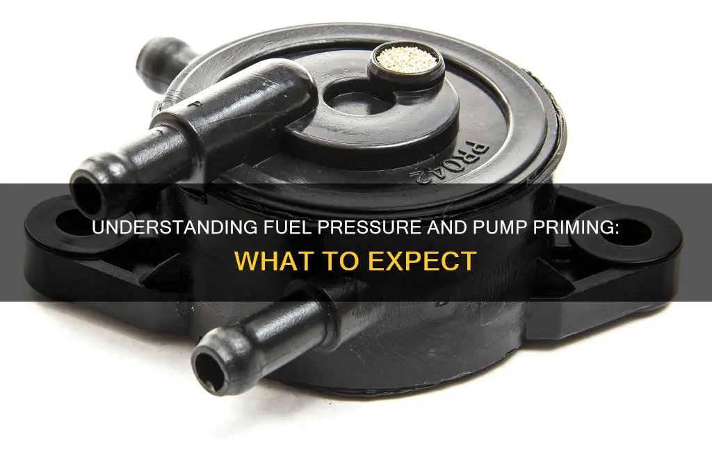 should you see fuel pressure when pump primes