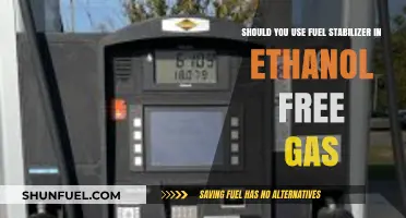 Ethanol-Free Gas: Is Fuel Stabilizer Necessary for Longevity?