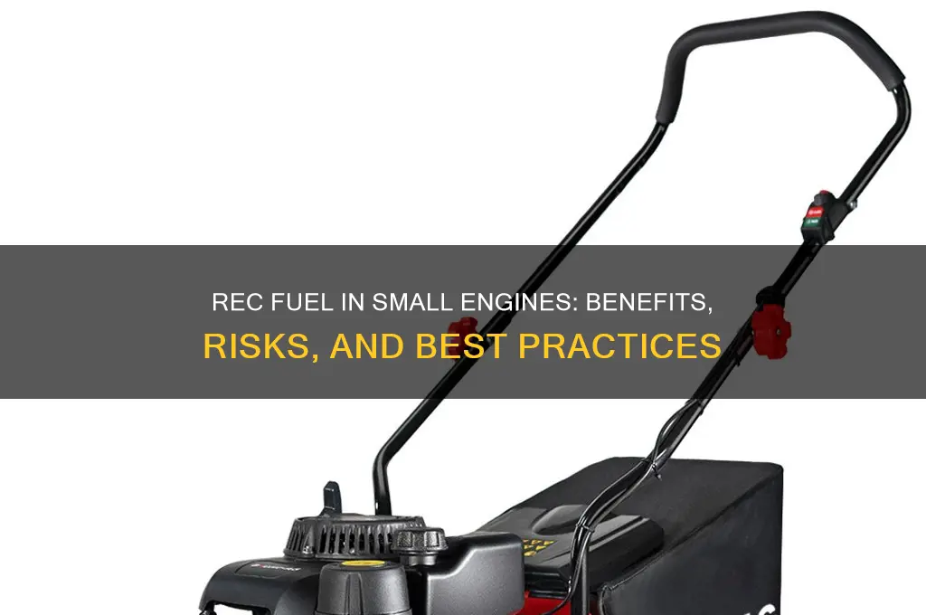 should you use rec fuel in small engins