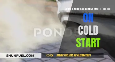 Fuel-Smelling Car Exhaust: Normal or Not?