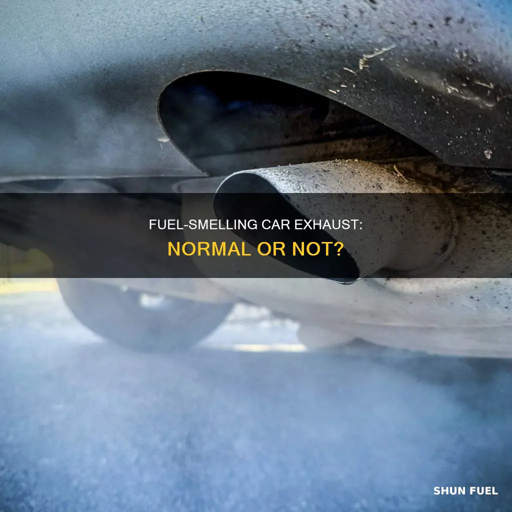 should your car exaust smell like fuel on cold start