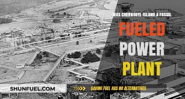 Chernobyl's Legacy: Fossil Fuel Power Plant or Nuclear Disaster?