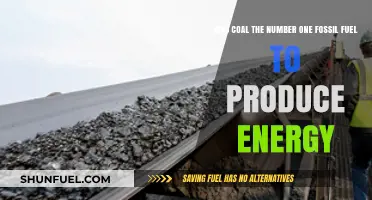 Coal's Reign: Was It the Top Fossil Fuel for Energy Production?