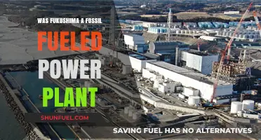 Fukushima's Energy Source: Fossil Fuels or Nuclear Power?