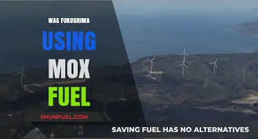 Fukushima's MOX Fuel Use: Uncovering the Nuclear Reactor's Secrets