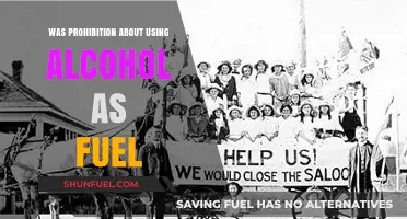Prohibition's Hidden Agenda: Alcohol as Fuel or Moral Control?