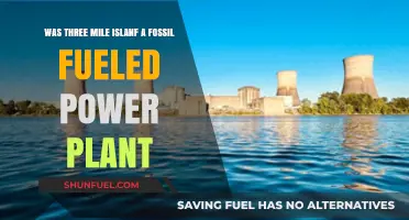 Three Mile Island: Fossil Fuel Power Plant Disaster Explained