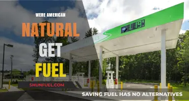 America's Natural Fuel Sources: Unlocking Domestic Energy Independence