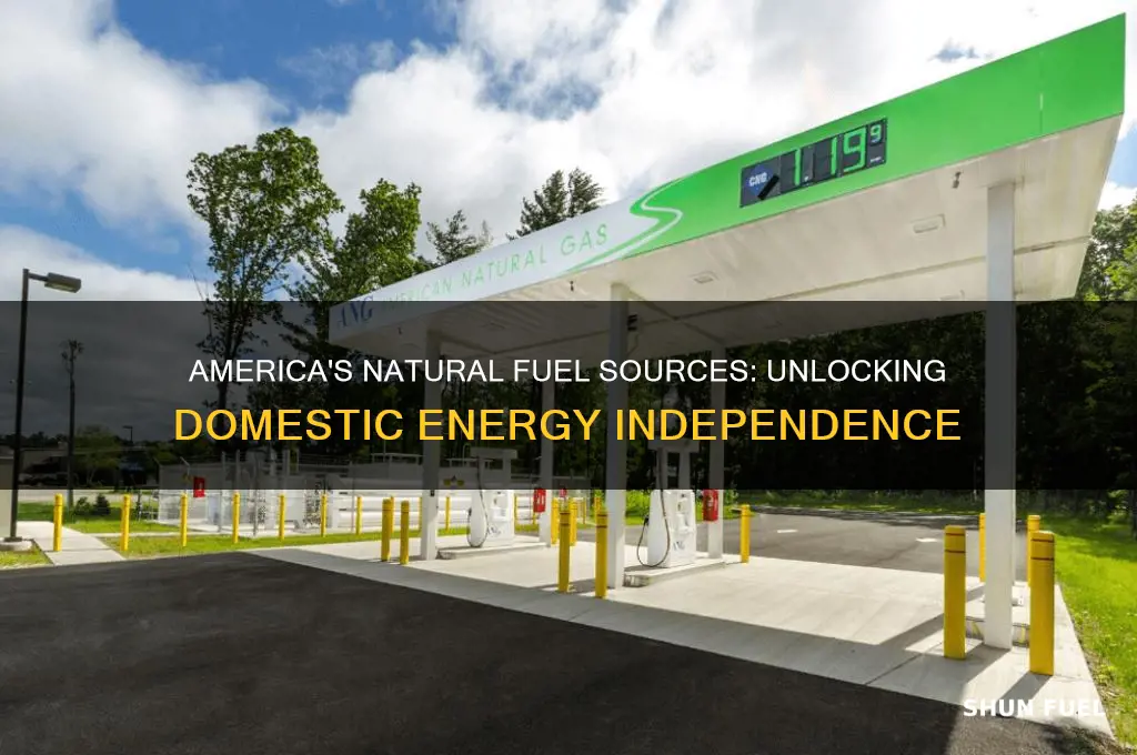 were american natural get fuel