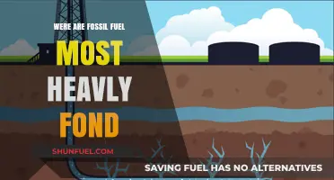 Fossil Fuels: Where Are They Found in Abundance?