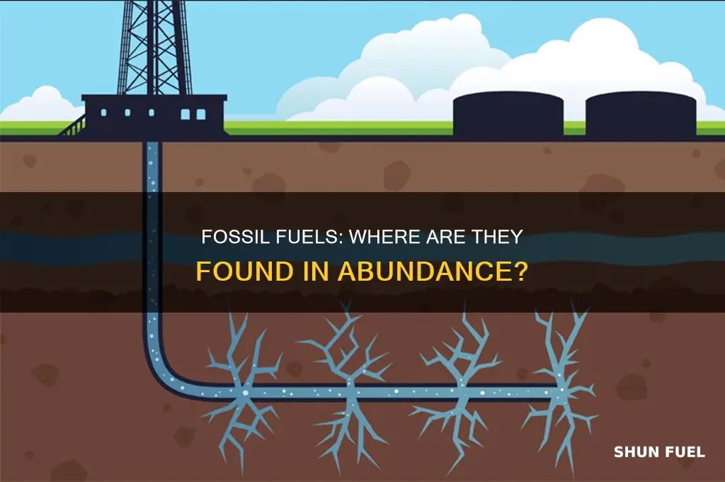 were are fossil fuel most heavly fond