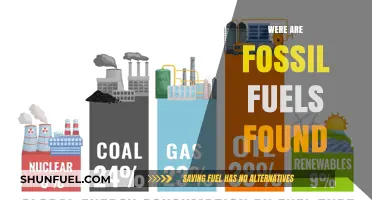 Fossil Fuels: Where Are They Found on Earth?