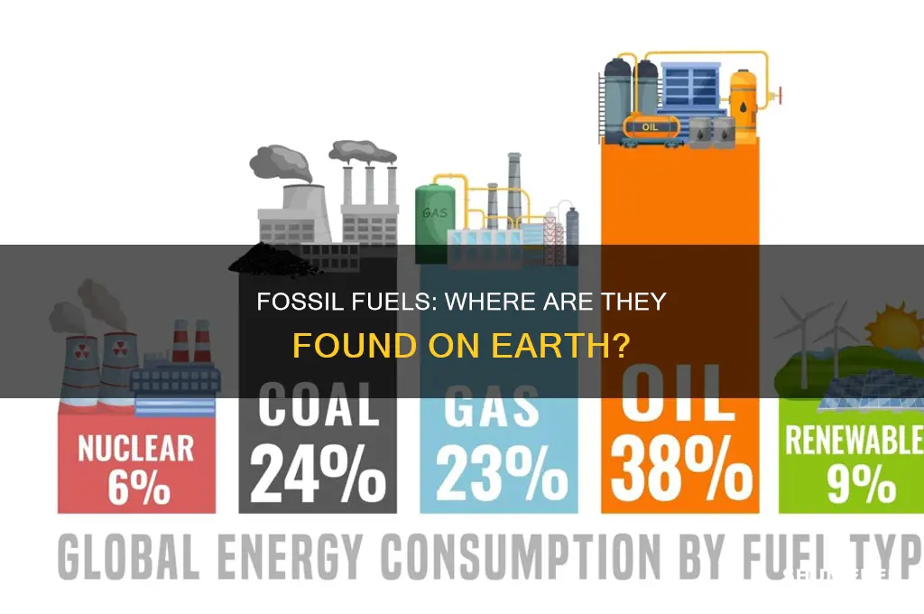 were are fossil fuels found