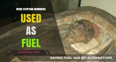 Egyptian Mummies as Fuel: Unraveling the Dark Historical Truth