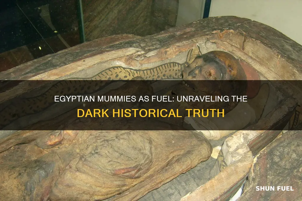 were egyptian mummies used as fuel