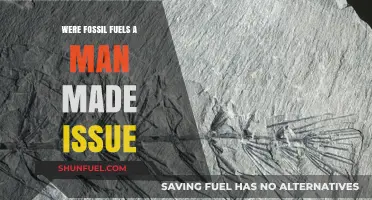 The Fossil Fuel Conundrum: Man-Made or Natural?