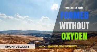 How Did Fossil Fuels Form Without Oxygen?