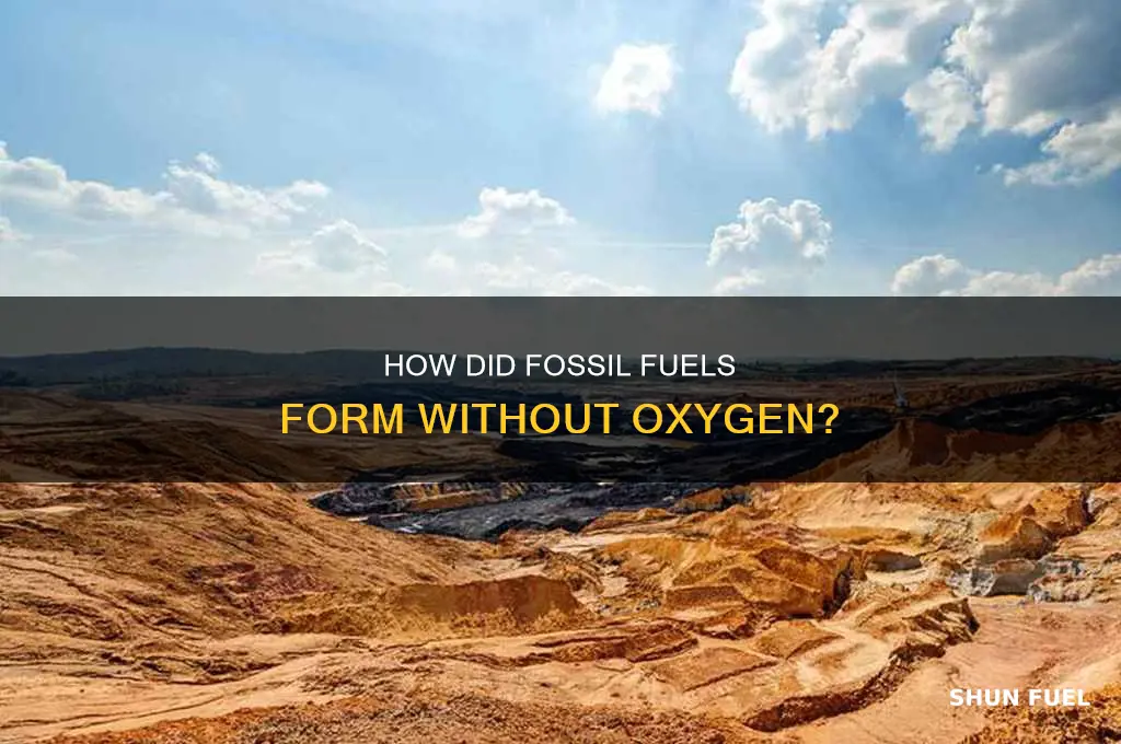 were fossil fuels formed without oxyden