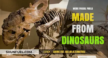 Fossil Fuels: Dinosaurs' Legacy or Misconception?