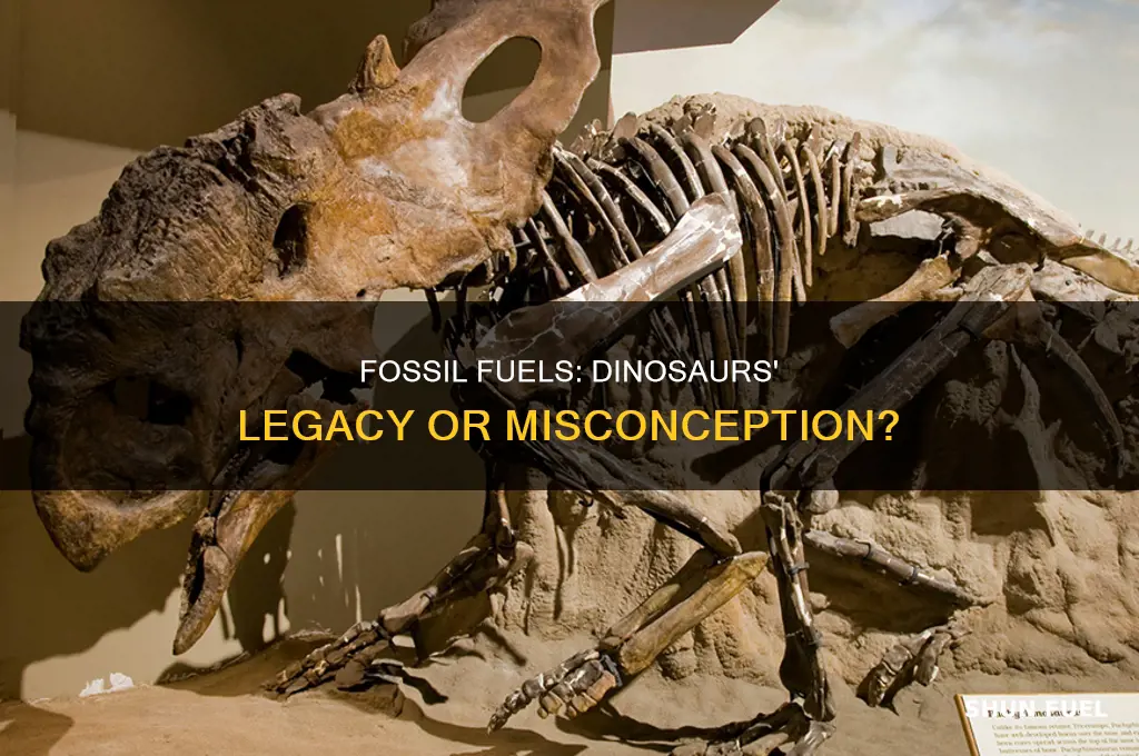 were fossil fuels made from dinosaurs