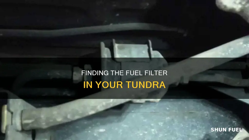 were is a fuel filter on a tunddra