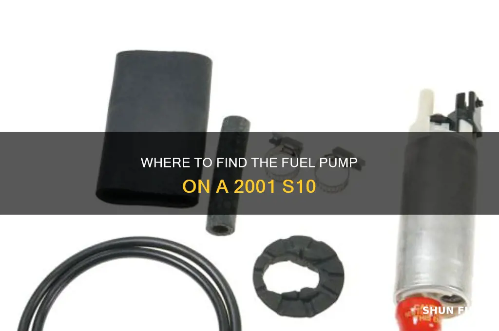were is a fuel pump located on a 2001 s10