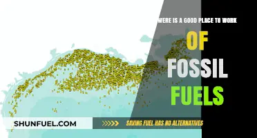 Fossil Fuel Careers: Where to Begin?