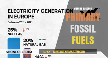 Europe's Fossil Fuel Sources: Where Are They?