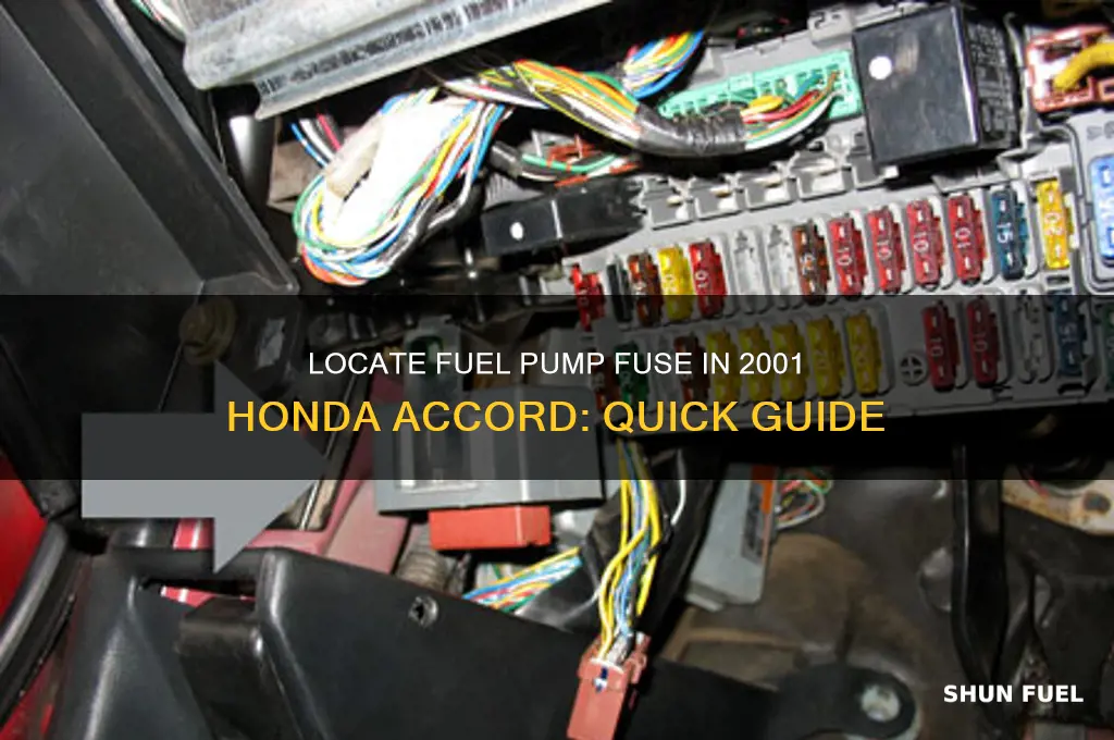 were is fuel pump fues 01 accord