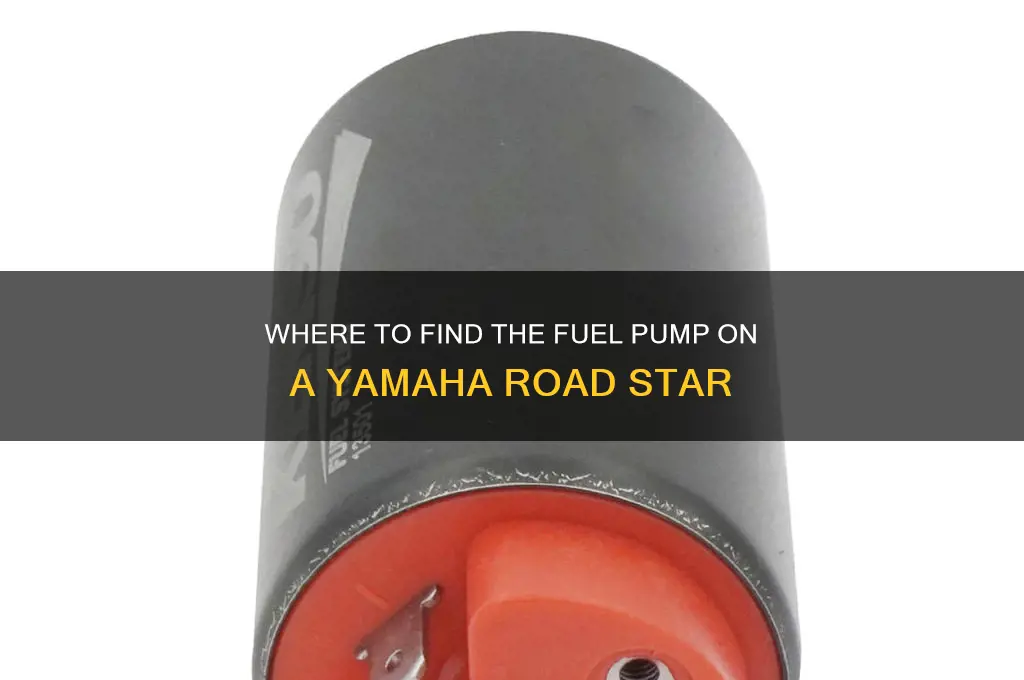 were is fuel pump located on yamha road star