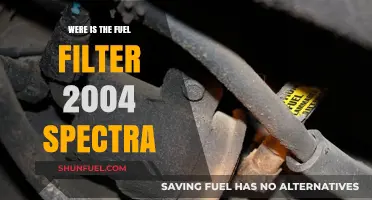 Finding the Fuel Filter in a 2004 Spectra