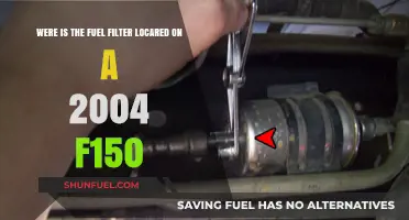 Locating the Fuel Filter in Your 2004 F150