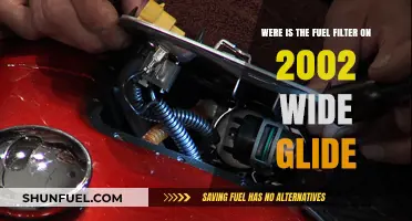 Where's the Fuel Filter on a 2002 Wide Glide?