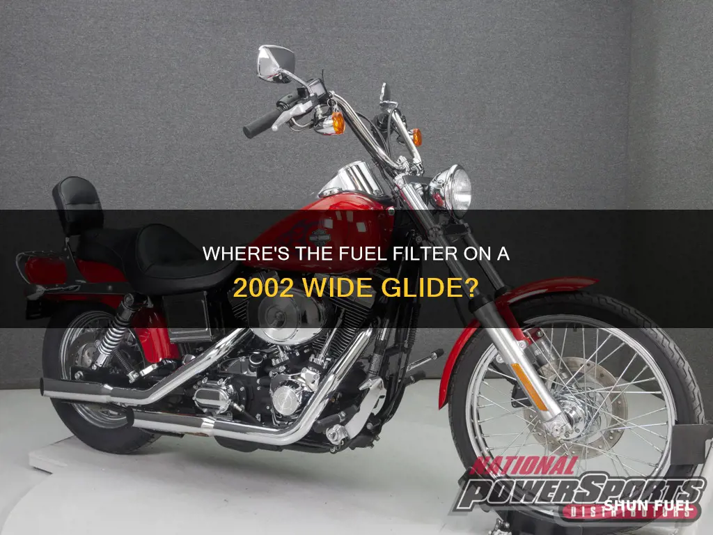 were is the fuel filter on 2002 wide glide
