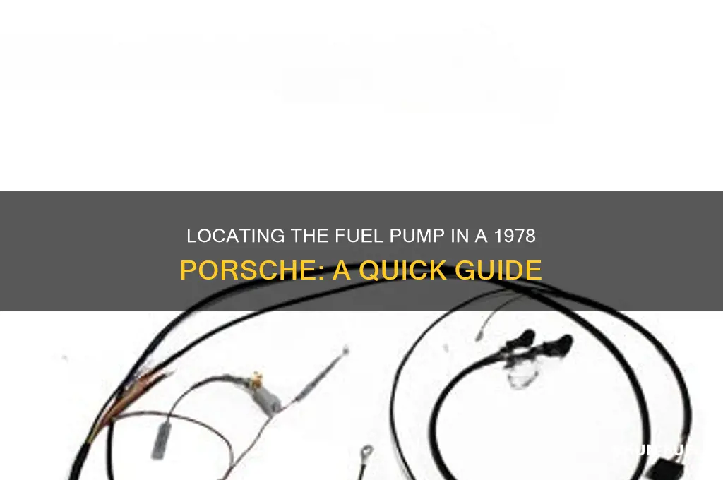 were is the fuel pump on 1978 porsch