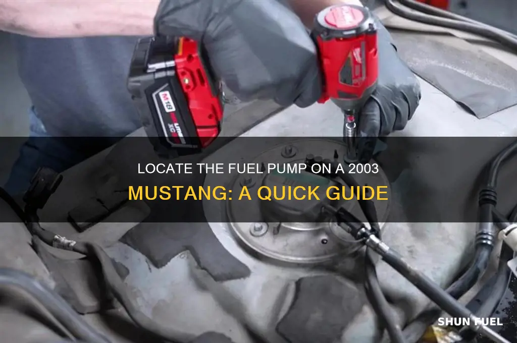 were is the fuel pump on a 03 mutang