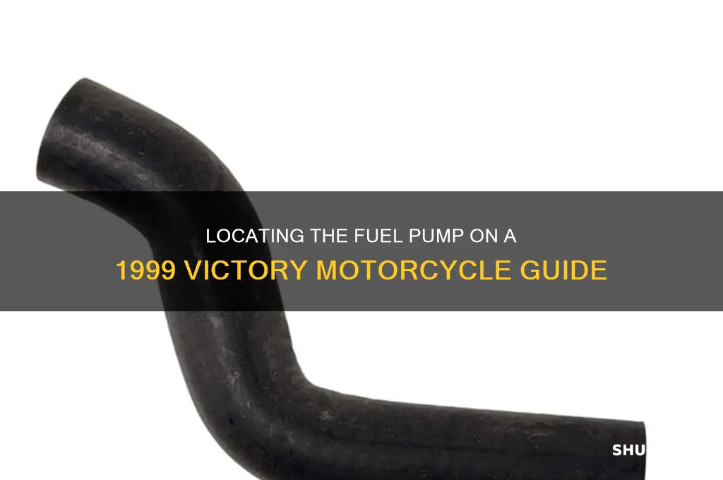 were is the fuel pump on a 1999 victory