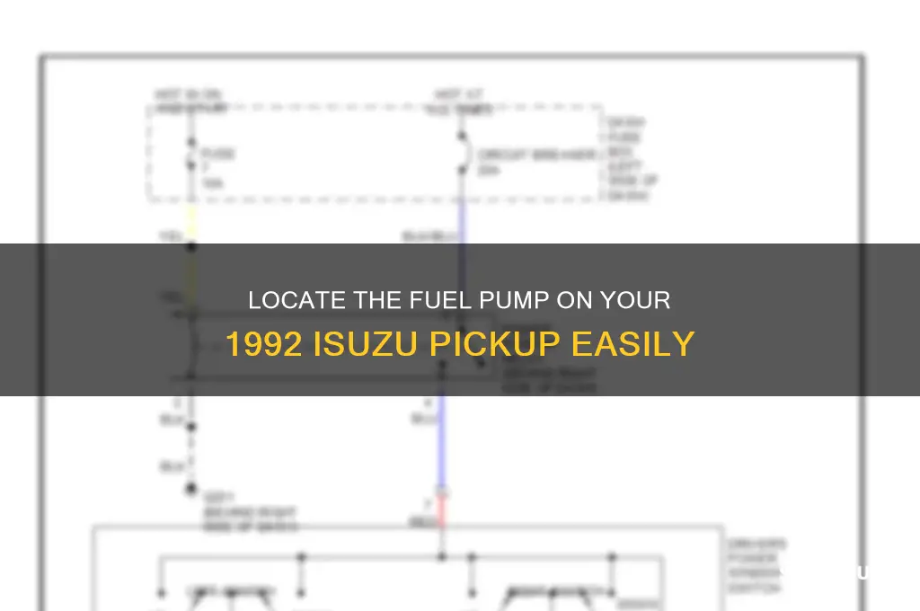 were is the fuel pump on my 92 isuzu pickup