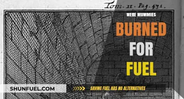Mummies as Fuel: Uncovering the Dark History of Ancient Resourcefulness