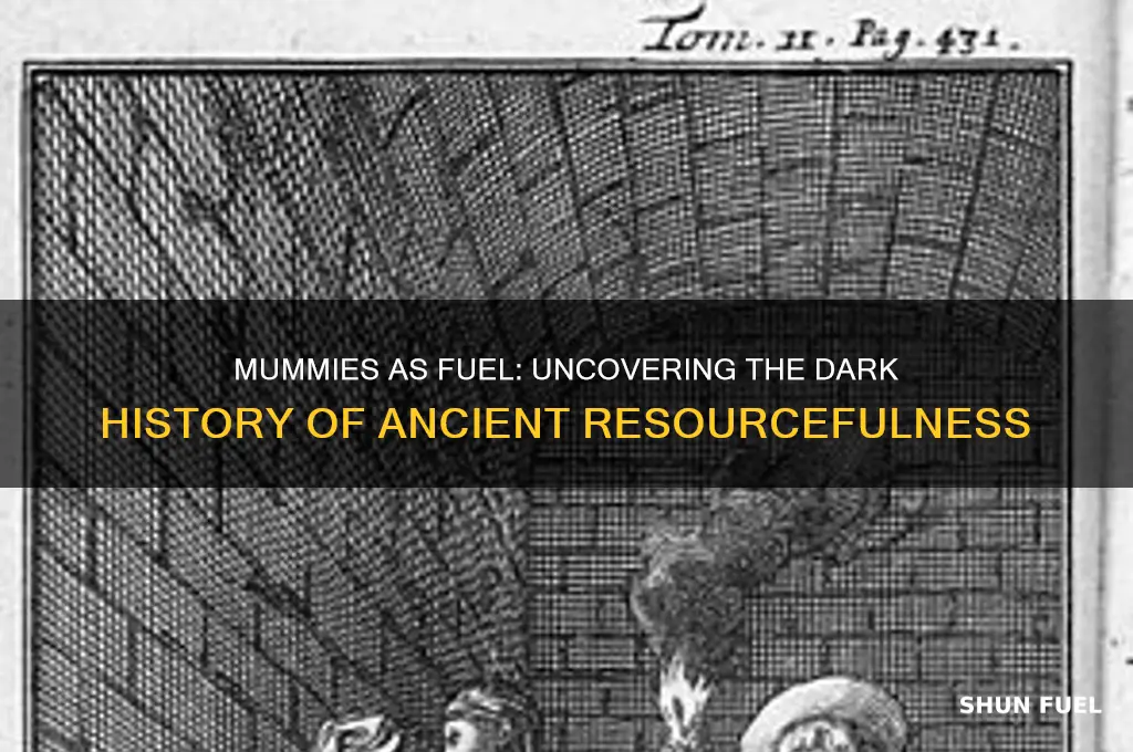 were mummies burned for fuel