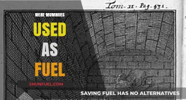 Unraveling the Myth: Were Mummies Truly Used as Fuel?