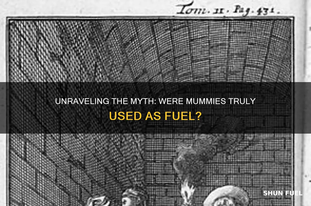 were mummies used as fuel