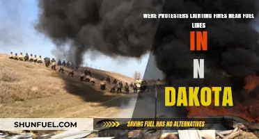 Fuel Line Protests: Dakota's Burning Questions