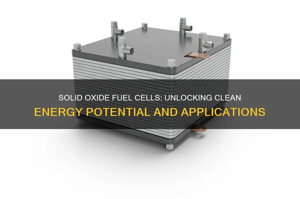 were solid oxide fuel cells